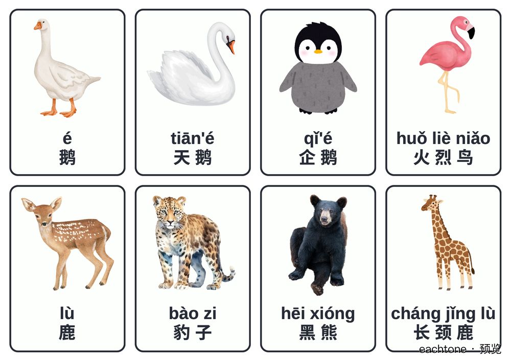 Topic 1, sheet 3 preview