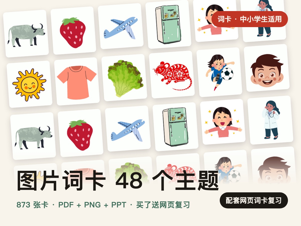 Picture Word Cards — 图片词卡(48个主题)